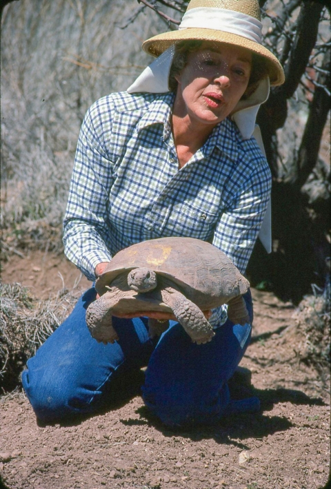 A woman kneeling on dirt holding a tortoise with dry vegetation in the background.
