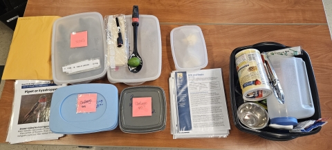Containers and supplies to show bird bills and beak adaptations