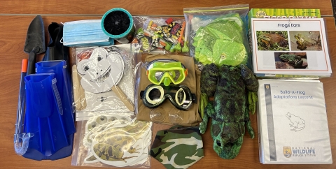 Books and supplies to dress up like a frog.