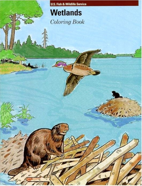 Wetlands Coloring Book