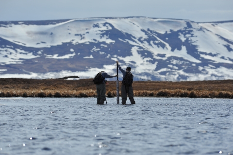 Two people in waders stand in the cold knee-high waters with a tall ruler. Behind them is snowcapped mountains. 