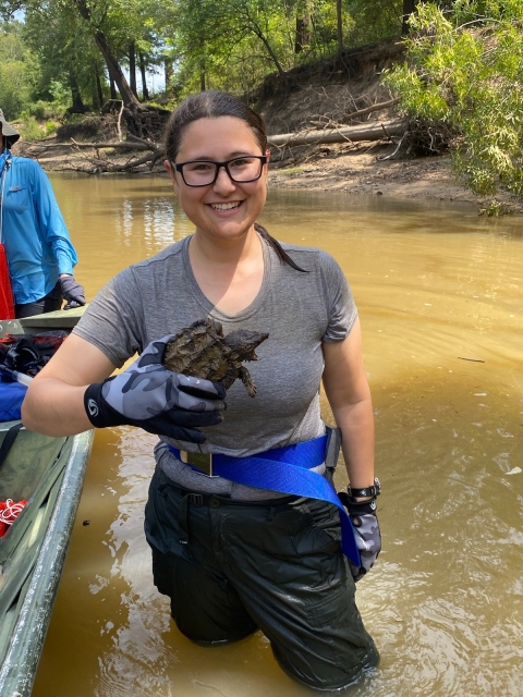 A woman stands in knee-deep water and holds an alligator snapping turtle in her hand