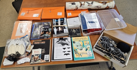 Books and supplies to learn about bats.