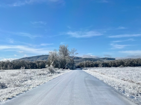 Icy Road at William L. Finley NWR
