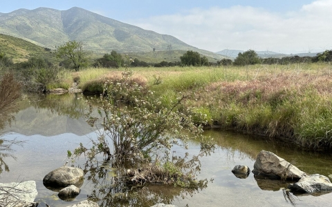 stream runs by green, grassy bank with mountain in background