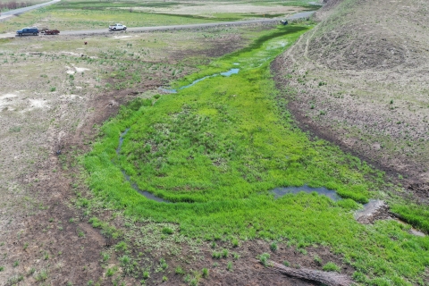 Aerial view of a green riparian area