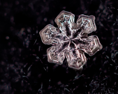 An image of a snowflake lit up and glittering under a microscope on a black background.