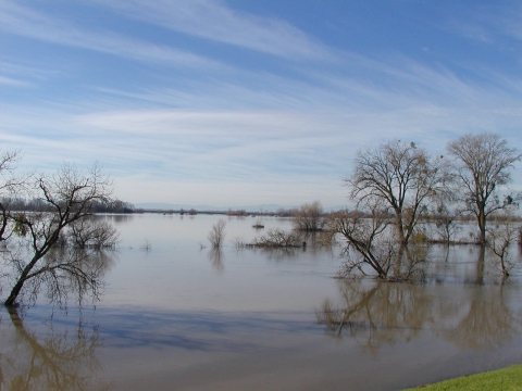 Sacramento NWR Complex - flooding at Sutter NWR