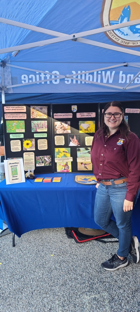 A woman in a maroon shirt stands next to an outreach table with a poster display about pollinators and insects