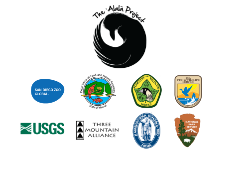 Logos from each of the partners supporting The ʻAlalāa Project