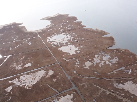 aerial view of salt marsh