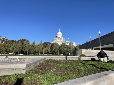 Section of dirt and weeds in concrete median outside the Providence amtrak station. Capitol building visible in background. 
