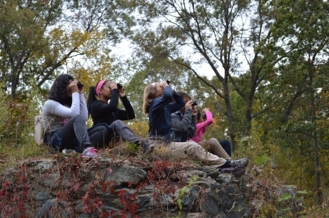 a group of young girls in a forested area look to the sky with binoculars while sitting on rocky terrain