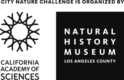 California Academy of Sciences, Natural History Museum-Los Angeles County Logo