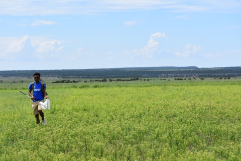 Person wearing a blue shirt walking with a net