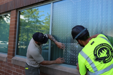 Two people installing Feather Friendly dots on the FWS Northeast Regional Office