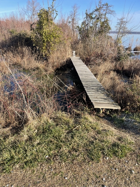 A raised walkway over a wetland leads to a water control structure.