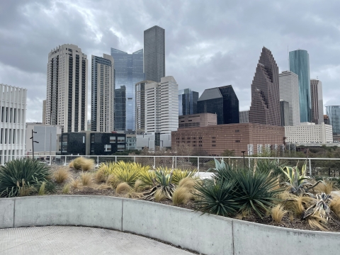 the skyline of the city of Houston