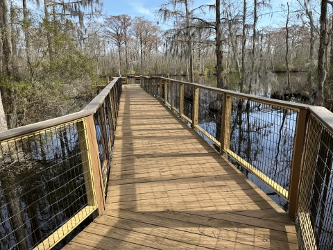 Wooden walkway over water with view of trees.