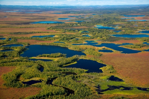 Aerial photo of Kanuti Flats, Alaska many lakes and wetlands.