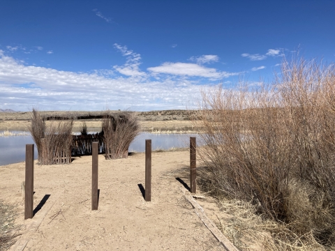 A trail on a desert wetland with a waterfowl viewing blind next to the wetland.