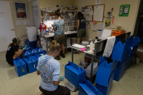 Duck team staff working in duck lab