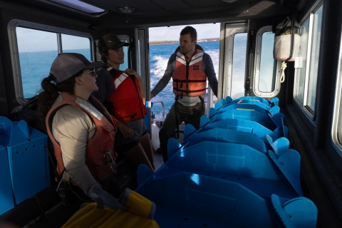 Captured birds being transported to Eastern Island
