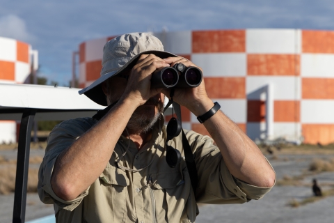 Member of Shorebird team looking for bristle-thighed curlews