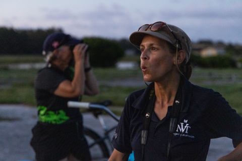 Shorebird member making bird calls