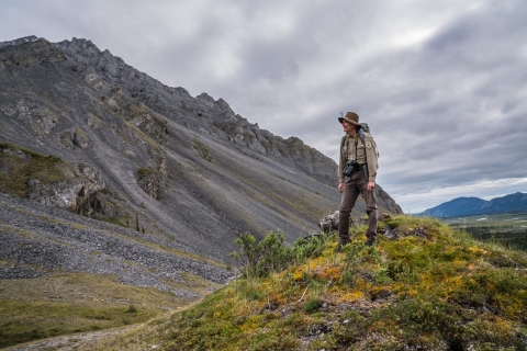 A biologist stands on mossy hill, with mountains in the background.