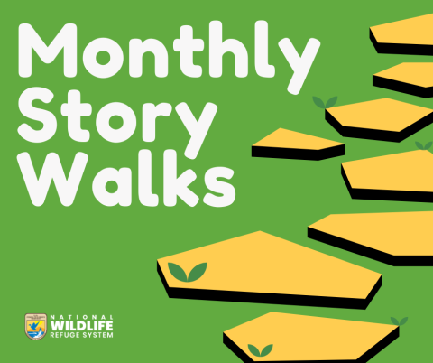 Graphic with bright green background and white text that says Monthly Story Walks. There are yellow stepping stones on the right side of the image going from the bottom to the top.