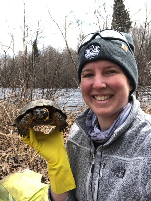 Tricia Brockman holds a wood turtle near a wetland