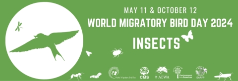 World Migratory Bird Day 2024 is on May 11 and October 12 and the theme is Insects