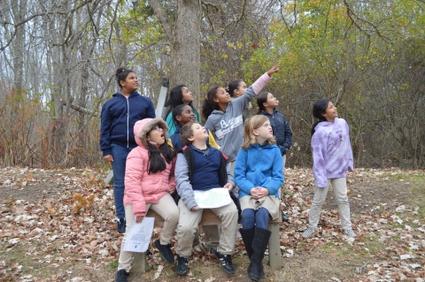 a group of young kids look towards the sky in a forest. They're presumably watching a bird or other wildlife.
