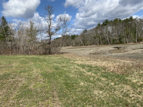 green grass in the foreground changes to brown plants and a winding, narrow stream in the background, backed by green trees, with blue sky and white clouds