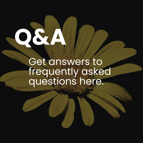 Graphic that reads Q&A, get answers to frequently asked questions herewith a close-up Florida golden aster in the background.
