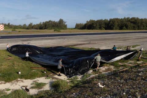 Island Conservation team cover a freshwater pond with a tarp