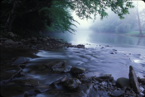 A rocky shoreline of a river. The water is calm. Mist and green branches line the river.