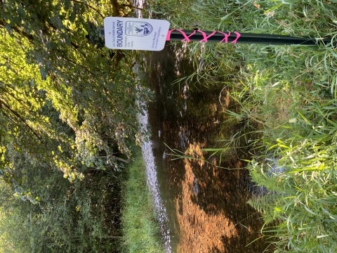 The Bergrstrom tract is an Abernathy Fish Technology Center property where the public has access to Abernathy Creek