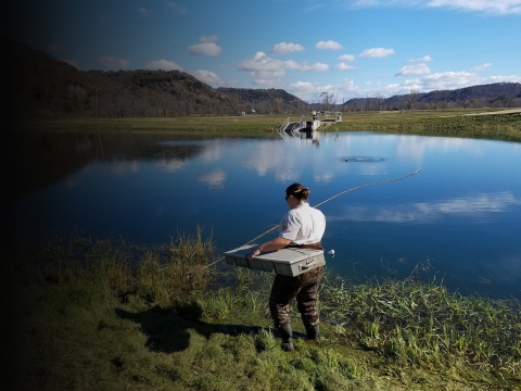 Preparing Hine's Emerald Dragonfly Larvae for Winter