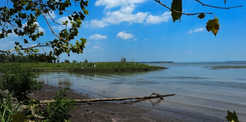 A view of the Occoquan River at Featherstone NWR