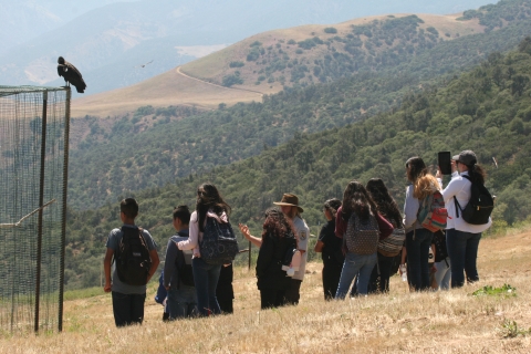 Students stand next to the corner of a flight pen with a condor perched on top. In the background are rolling hills with yellow grasses and green trees.