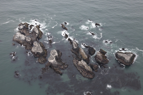 A series of offshore rocks seen from a plane along the Oregon coast