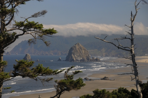 A view through the forest at a large seastack along the beach on the Oregon Coast