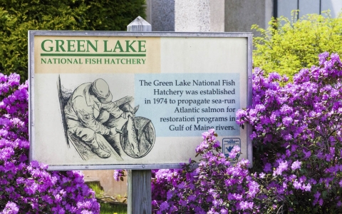 Visitor sign at Green Lake National Fish Hatchery