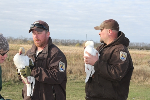 Refuge staff participating in a goose survey.
