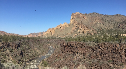 Middle Descutes River 2016