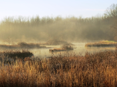 View of Endicott Marsh in winter with brown grass and water 