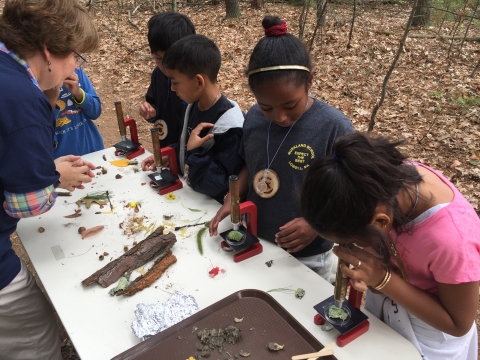 A diverse class of children look through microscopes on a table set up outside in a forest