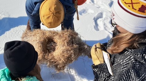 Teacher holding duck nest removed from hen house during winter maintenance, bending over to show it to two students outside on the snowy wetland